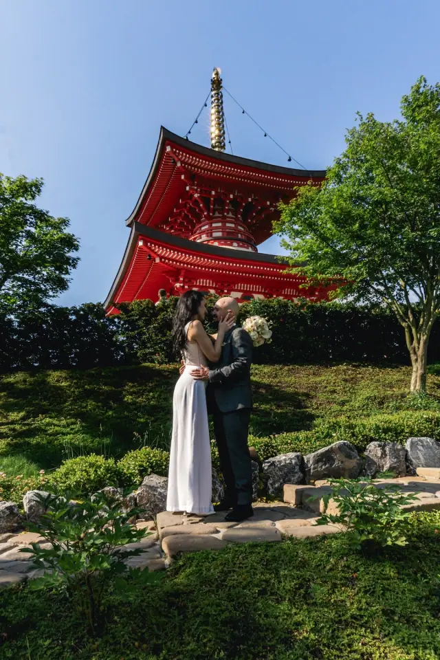 Garden Vows, Wedding / Story, photograph 6